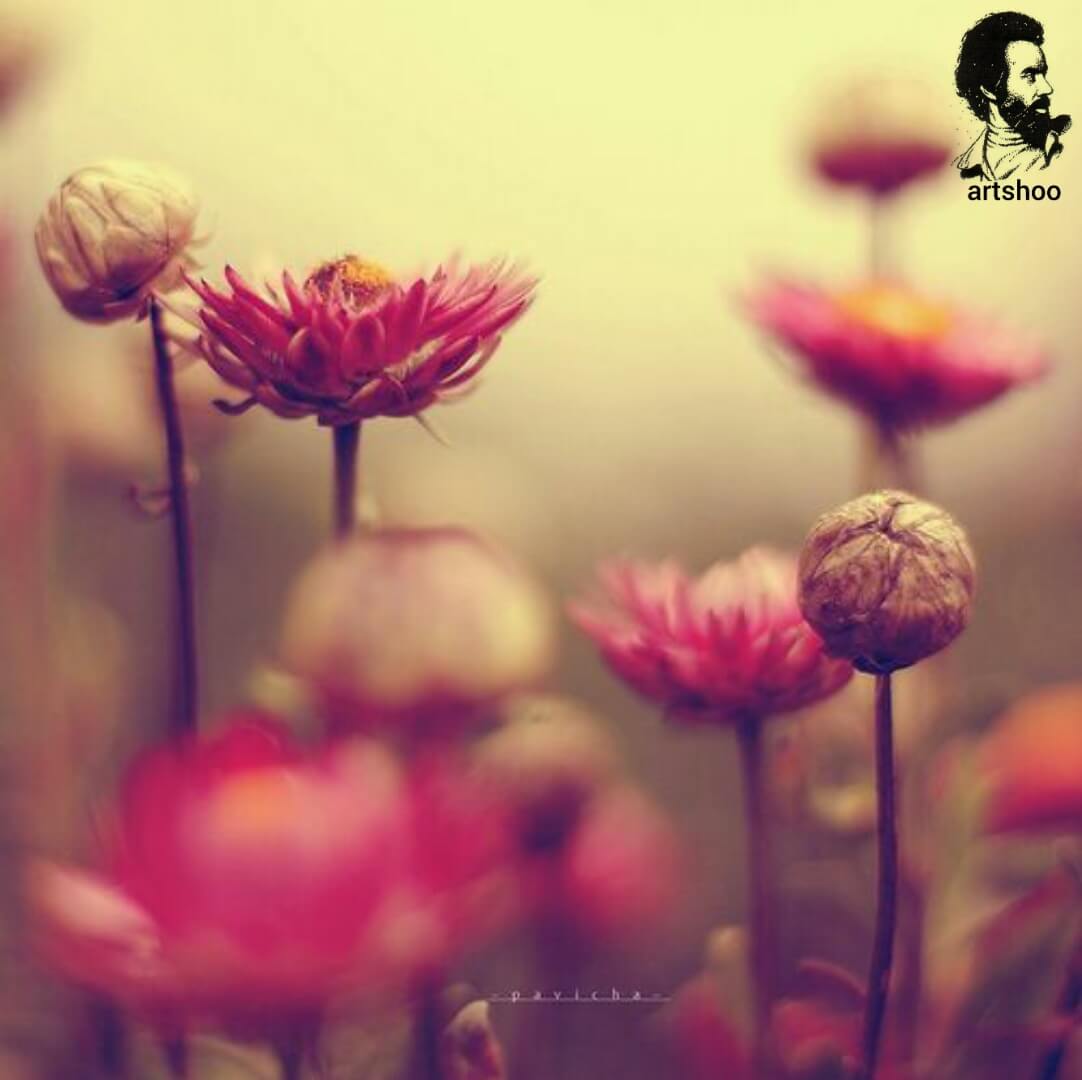 آموزش نقاشی رنگ روغن